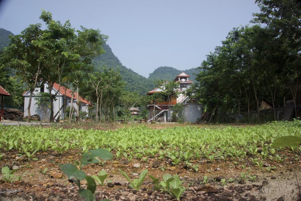 פונג נה Ho Khanh'S Homestay מראה חיצוני תמונה